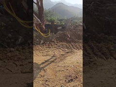 수압형 웅잉 발굴기 잡기, 5가지 손톱의 목재 잡기, 발굴기복